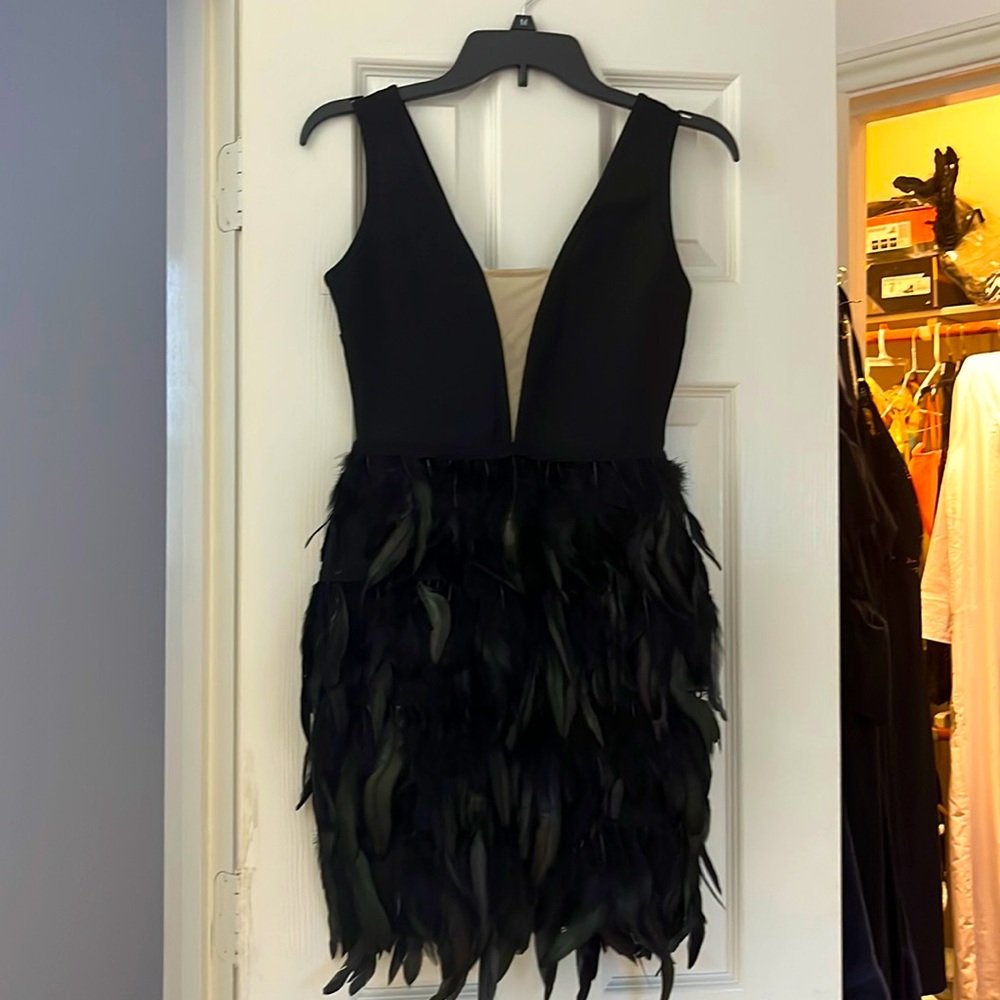 Size small black feathered sexy dress. Stretchy material